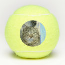 Search for cat tennis balls Cute