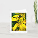 Search for wing note cards Yellow