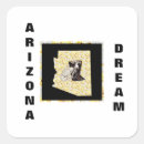 Search for temp stickers Scottsdale