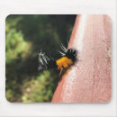 Search for fuzzy mousepads Nature