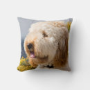 Search for labradoodle cushions Beige