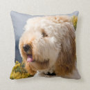 Search for labradoodle cushions Beige
