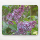 Search for spring bloom mousepads Purple