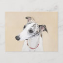 Search for whippet dog postcards White