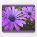 Search for daisy blue mousepads Flower