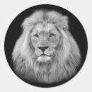 Search for white lion stickers King