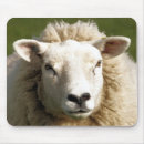 Search for ewe mousepads Farms