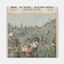 Search for viticulture magnets Vines