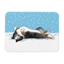 Search for sheltie magnets Shetland sheepdog