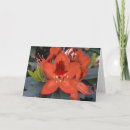 Search for rhododendrons cards Floral