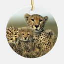 Search for cheetah christmas tree decorations Photography