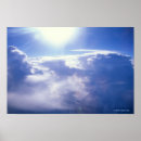 Search for shinned posters Nature