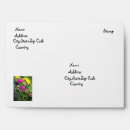 Search for butterfly envelopes Wildlife