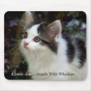 Search for whisker mousepads Kitten