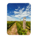 Search for peppers magnets Farm
