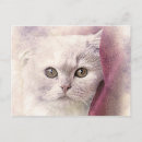 Search for abstract postcards Kitty