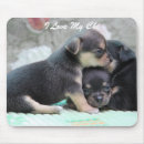 Search for add text electronics Cute
