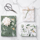 Search for gorgeous wrapping paper Pretty
