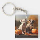 Search for pitbull key rings Puppy