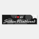 Search for silken windhound Dog