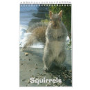 Search for funny squirrel calendars Animal