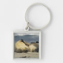 Search for south australia key rings Australian