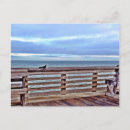 Search for obx postcards Ocean
