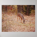 Search for buck deer art Hunter