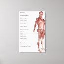 Search for system canvas prints Human