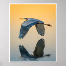 Search for heron art Great blue heron
