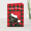 Search for puppy christmas cards Lab