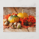 Search for acorn postcards Colourful