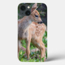 Search for black tailed electronics Mammal