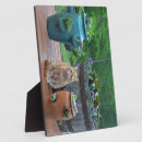Search for cat plaques Kitty