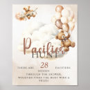 Search for pacifier Rustic