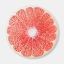 Search for slice magnets Grapefruit