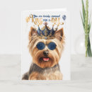 Search for silky terrier Pets