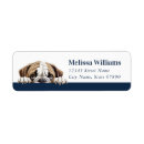 Search for english bulldog return address labels Puppy