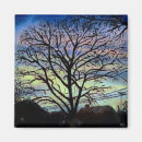 Search for winter magnets Colorful