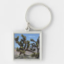 Search for joshua tree key rings Vacation