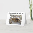 Search for unusual birthday cards Photography