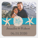 Search for turquoise starfish stickers Sand dollar