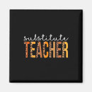 Search for substitute magnets Teacher