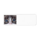 Search for blue cat return address labels Kitten