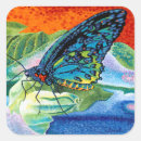 Search for ii stickers Rainbow