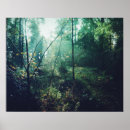 Search for forrest posters Nature