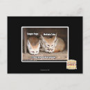 Search for option postcards I can has cheezburger