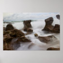 Search for cove posters Florida
