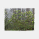Search for danita delimont blankets Misty