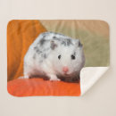 Search for hamster blankets Cute